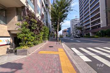 敷地東側の前面道路（南側から）
