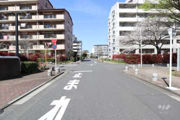敷地東側の前面道路