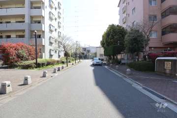 敷地東側の前面道路　