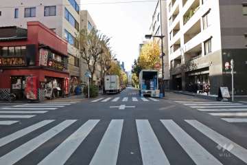 南東側の前面道路（北東側から）