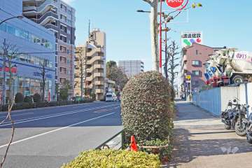 敷地南側の前面道路（東側から）