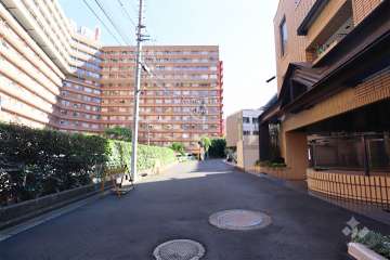 敷地東側の前面道路（北側から）