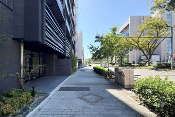 敷地南側の前面道路(西側から)