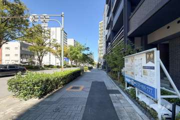 敷地南側の前面道路(西側から)