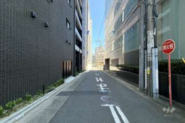 敷地東側の前面道路(南側から)