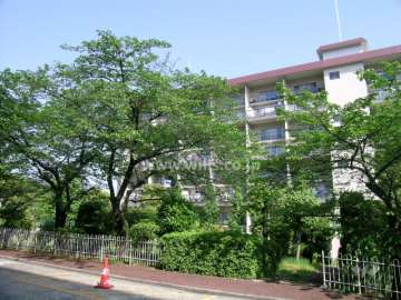 敷地内は植栽スペースが多く、緑豊かです。