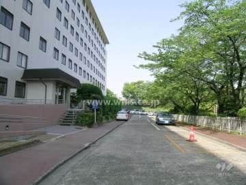 エントランス前の通路と駐車場