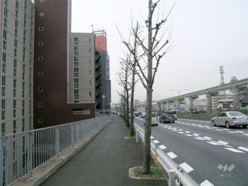 敷地北側は中央環状線に面しています。