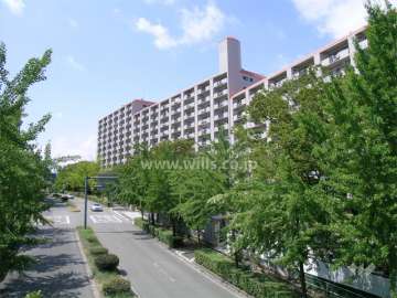 敷地南側の前面道路。歩道があり、街路樹がきれいな通りです。