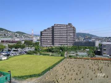 周辺には田畑が多く、のどかな雰囲気です。