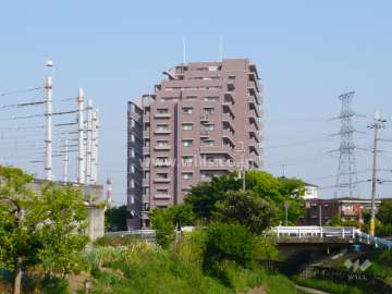 外観（西側から）