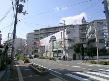 敷地南側の駐輪場