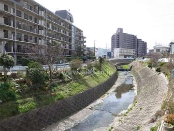 敷地の北側には最明寺川が流れています。