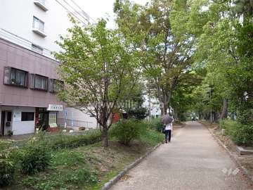 敷地の東側は街路樹がきれいな府道吹田箕面線に面しています。