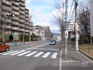 敷地の東側はロマンチック街道に面しています。