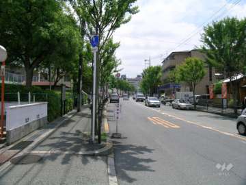 敷地の西側はロマンチック街道に面しています。
