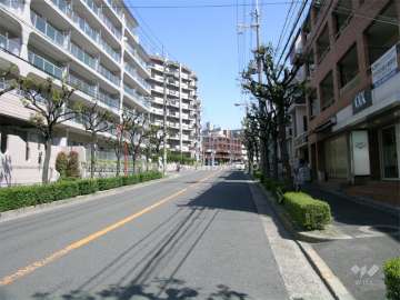 東南角地に立地。南側は街路樹のきれいな二車線の道路