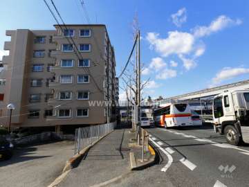 敷地北側の前面道路（中央環状線）
