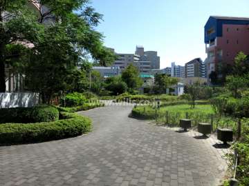 敷地に隣接する小さな公園