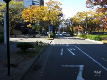 敷地北側の前面道路