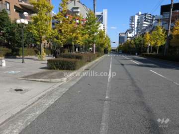 敷地南側の前面道路