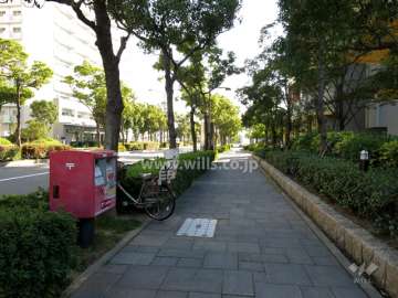 敷地東側の前面道路