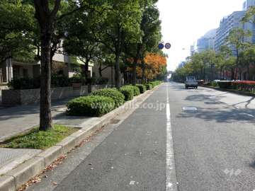 敷地西側の前面道路