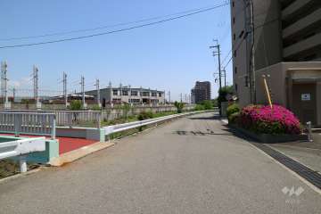 敷地北東側の前面道路（北西側から）