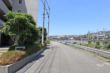 敷地北側の前面道路
