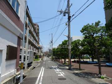 敷地北側の前面道路