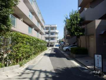 敷地北側の前面道路。