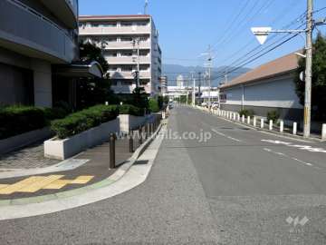 敷地東側の前面道路