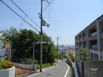 敷地東側の前面道路（北側から）