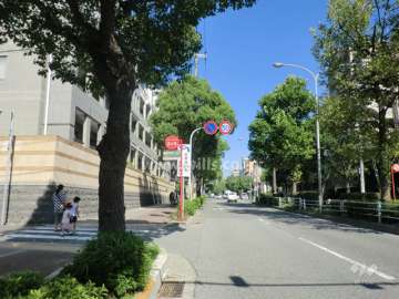 敷地南側の前面道路。前面道路には歩道、街路樹が設けられています。