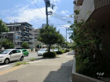 敷地東側の前面道路