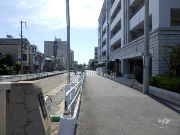 敷地東側の前面道路