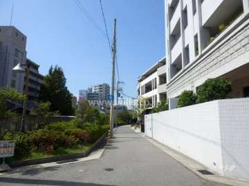 敷地南側の前面道路