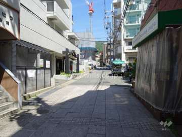 敷地東側の前面道路（南側から）