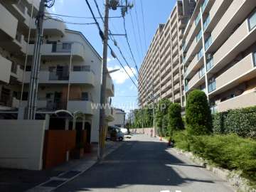 敷地北側の前面道路