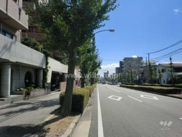 敷地西側の前面道路。4車線の通りです。