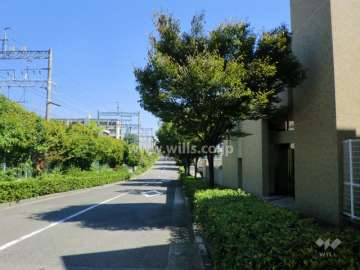 敷地北側の前面道路