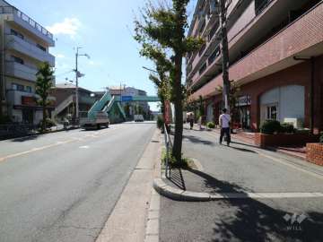 敷地南側の前面道路（東側から）