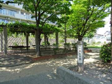 敷地南側に隣接する「東森北公園」