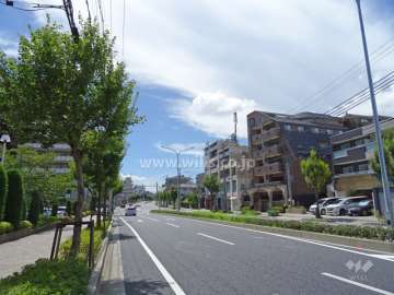 敷地北側の前面道路。山手幹線です。