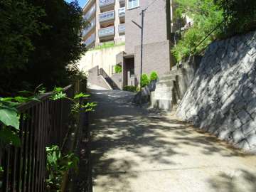敷地南側の前面道路。サブエントランスへと続きます。