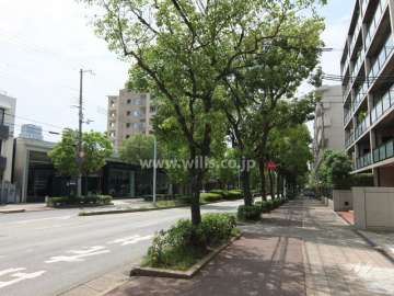 敷地南側の前面道路（山手幹線）