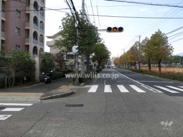 敷地北側の前面道路