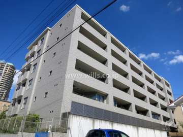 ダイナシティ住吉川の外観（南西側から）