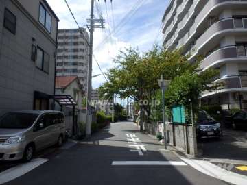 敷地南側の前面道路