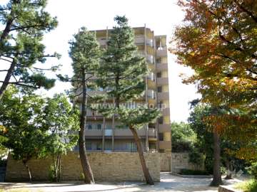ネバーランド御影石屋川公園の外観（北側から）